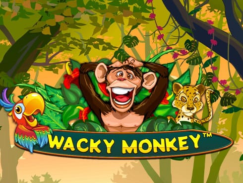 Wacky Monkey game thumbnail